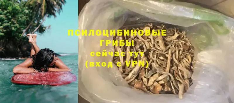 Псилоцибиновые грибы MAGIC MUSHROOMS  Североуральск 